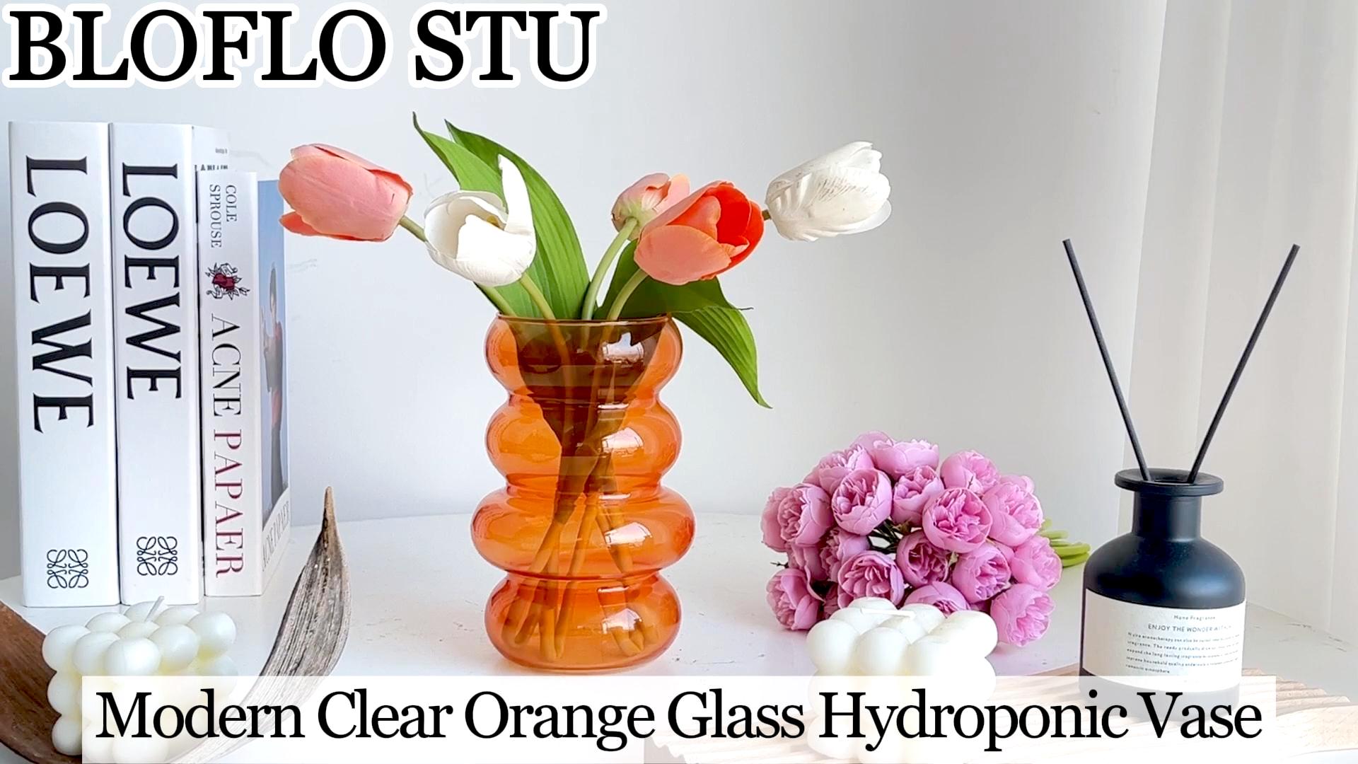 Amazon.com: BLOFLO Transparent Glass Hydroponic Flower Vase, 7